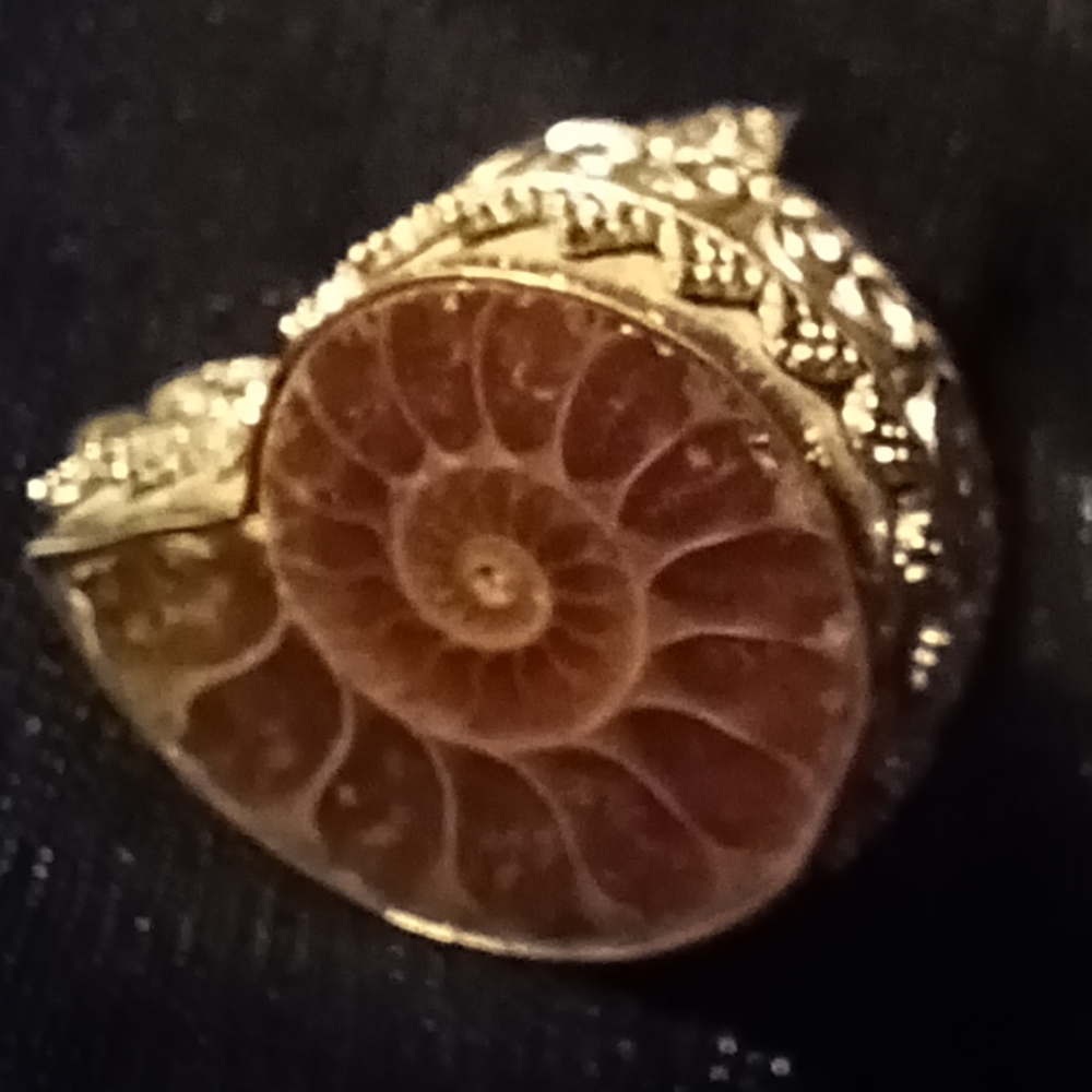 Fossil Ammonite Statement Ring - image 5